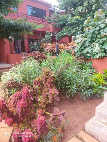 Apartment Bioguera 3 Rooms Terrace Pool View