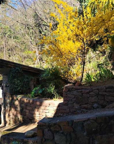 Torre Home - Casa A Bolzano Con Giardino Privato