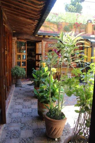 Casa Aldama ~ Parque Juarez San Miguel de Allende.