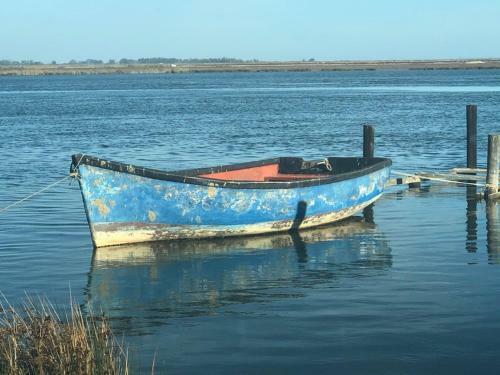 Apartamento Old Cape On The Marina - de Pond : Unit 6