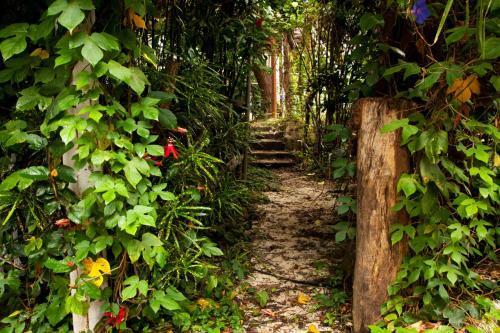 Ekostay - Hawaiian Villa