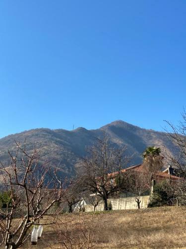 Hostal Casa Dell'agrifoglio