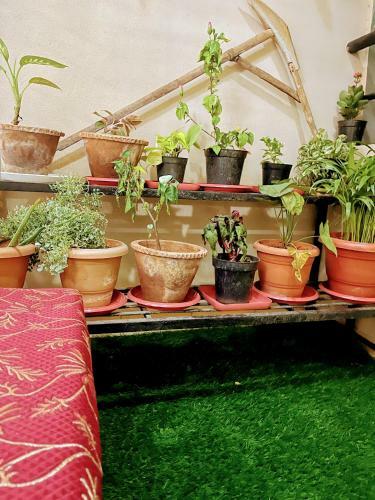 Apartamento Artistic 2bhk In The Downtown Close To Everything