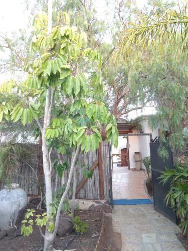 Hostal El Cerro De La Luna