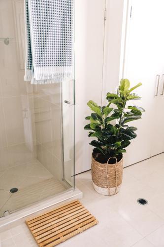 Apartamento 17b Lakedrive Crescent, Marcoola