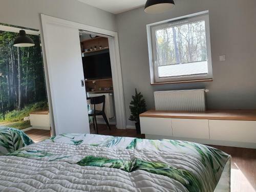 Green Apartment Mi?dzywodzie