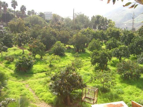 Apartamento Finca Tom�s Y Puri