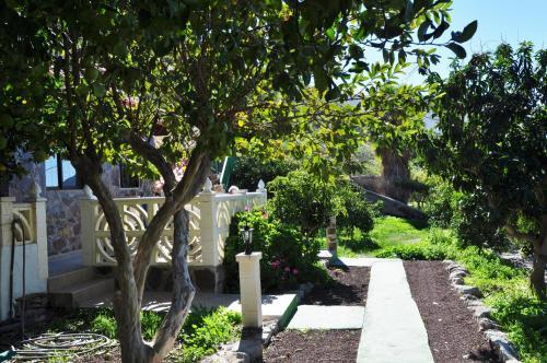 Apartamento Finca Tom�s Y Puri