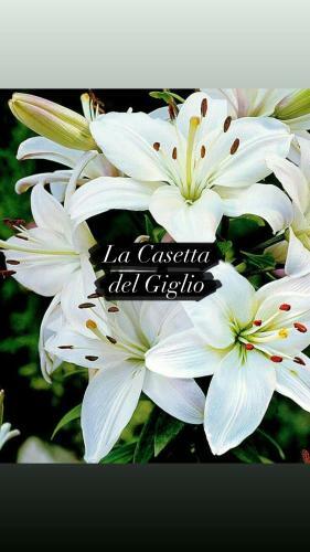 Apartamento La Casetta Del Giglio