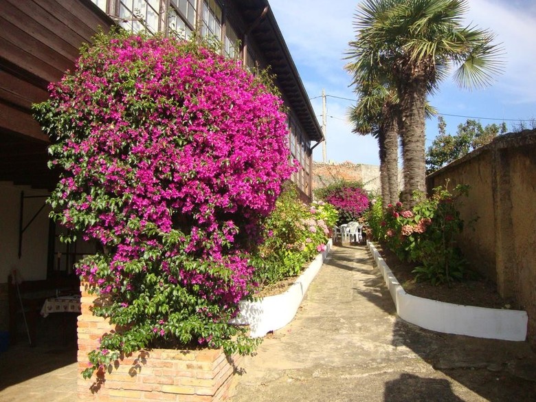 Apartamento La Gu�a