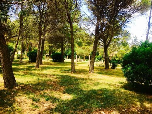 Villas Puerto Pollensa