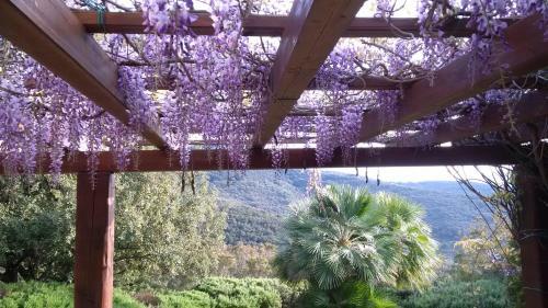 Villa Manobianco Biodola