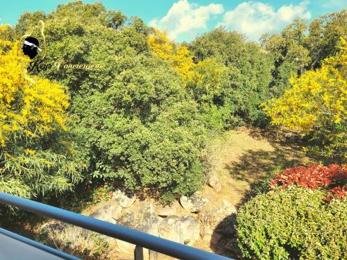 Apartamento Studio Cala Sultana N�76 Plage Santa Giulia