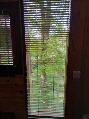 Cabane Suspendue Dans Les Arbres