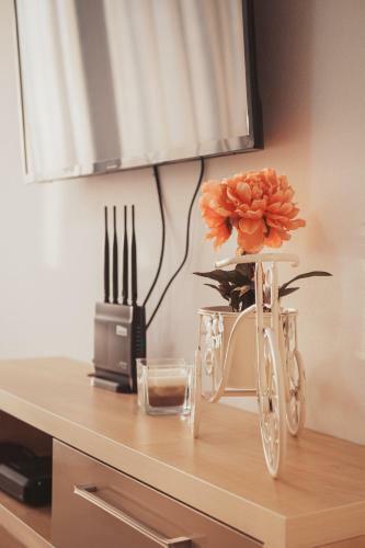 Sea View Belga Premium Apartments
