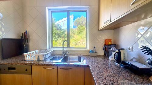 Green And Blue View Apartment