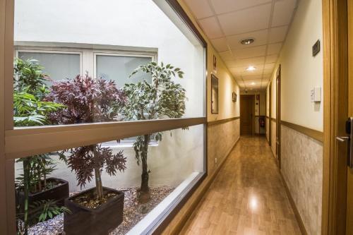 Hostal Hotel Casa Jacinto