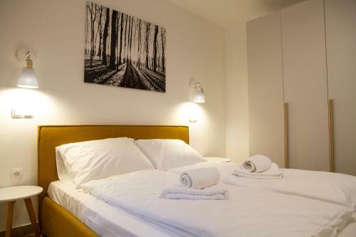 Apartments Montis Golte
