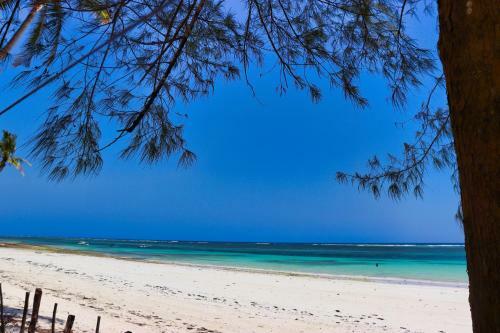 Hotel Searenity Beach Villa