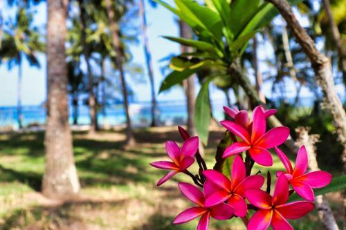 Hotel Searenity Beach Villa