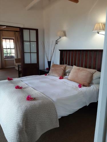Leeuwenbosch Shearers Lodge - Amakhala Game Reserve