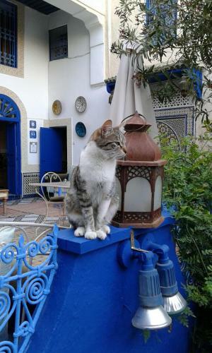 Riad Jean Claude