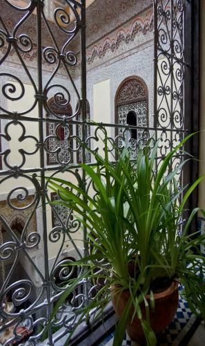 Riad Fes Palacete