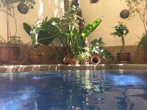 Riad La Cl� De F�s