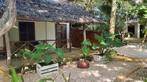 Hotel Atii Garden Bungalows