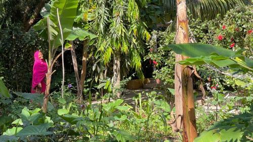 Hotel Atii Garden Bungalows