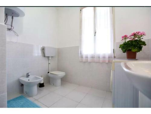 Alghero, Villa Mimosa With Garden For 67 People