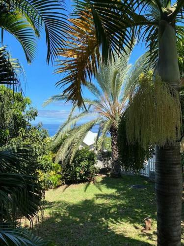 Villa Leu Mascareigne Piscine Vue Mer