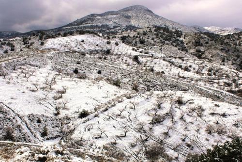 Cortijo Los Nopales