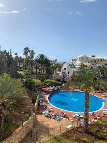 Excellent Apartments In Las Americas