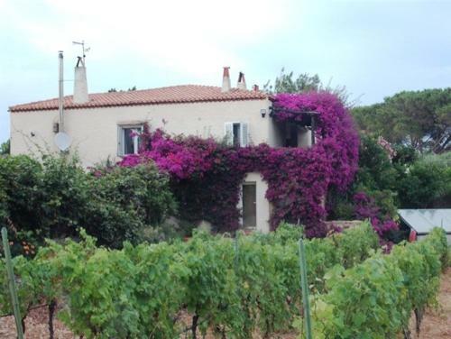 Villa Nel Parco