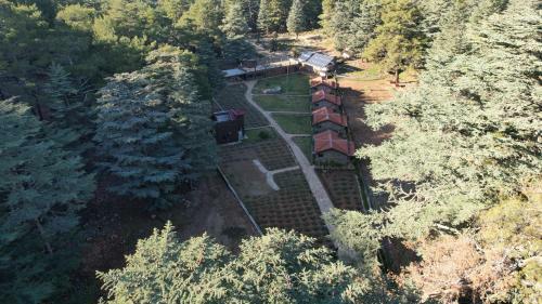 Bungalow Villa