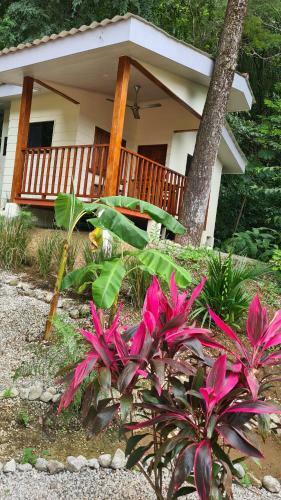Finca Lucky, Samara