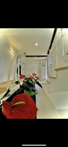 Villa Casa En El Poblado Independiente - San Sebastian