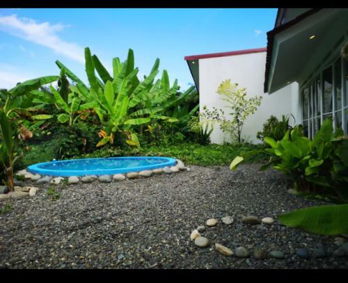 Hostal Ballena & Palm House