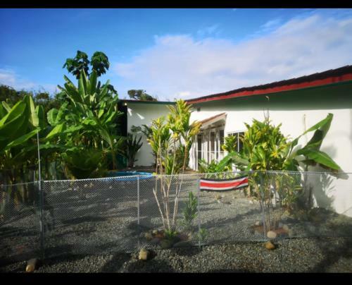 Hostal Ballena & Palm House