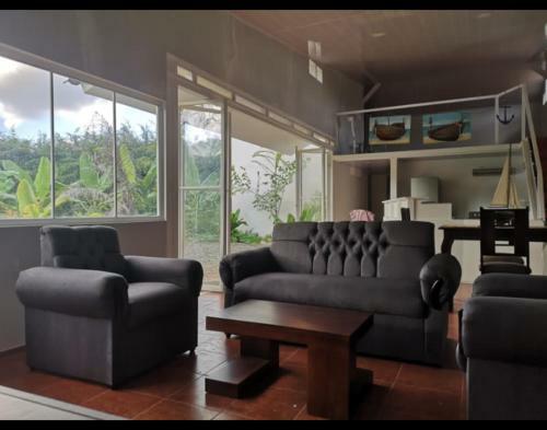 Hostal Ballena & Palm House