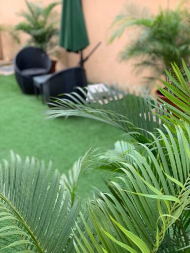 Apartamento Serenity Nest