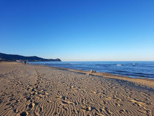 Apartamento Piso C�ntrico Y A Pie De Playa.