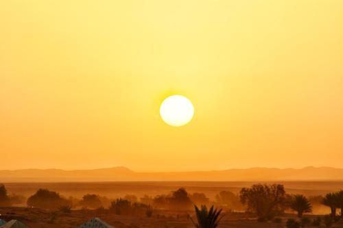 Night Desert Luxury Camp