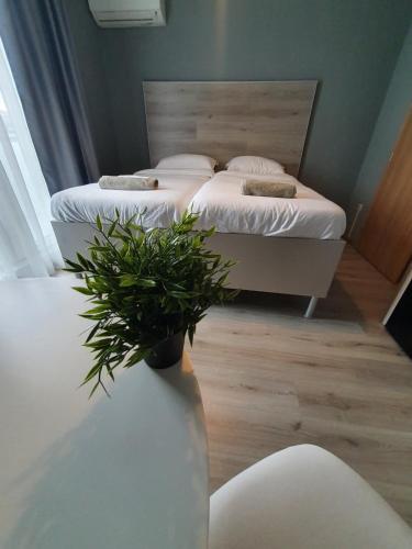 Apartamento Diamond 1006