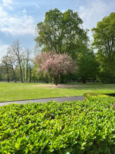 Apartamento Aux Hameaux Des Thermes