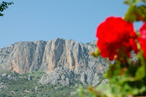 Villa Cortijo Pulgar�n Bajo