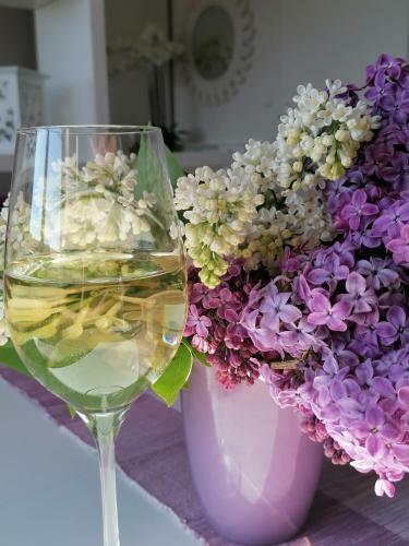 Apartamento Summer Wine
