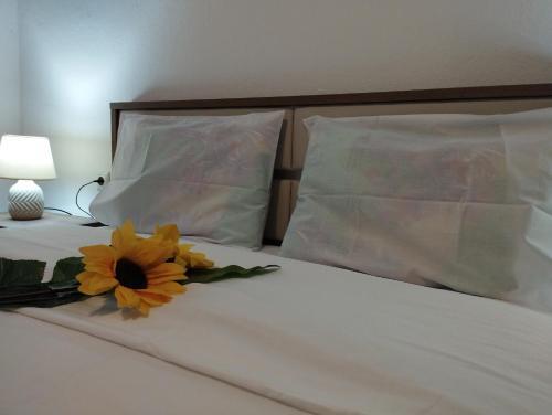 Apartamento Tsantilis Down Town