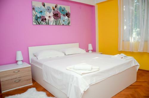 Apartman Arena